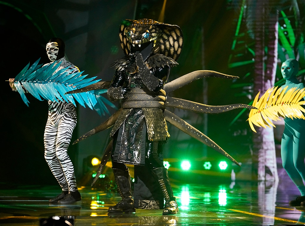 The Masked Singer Unmasks Serpent and Whatchamacallit The Masked Singer Unmasks Serpent and Whatchamacallit